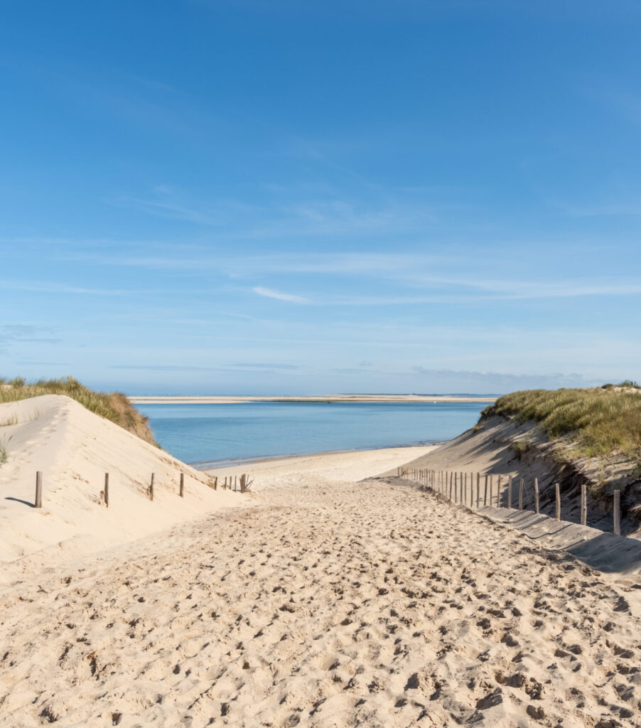 aupa immobilier photo adobestock 6