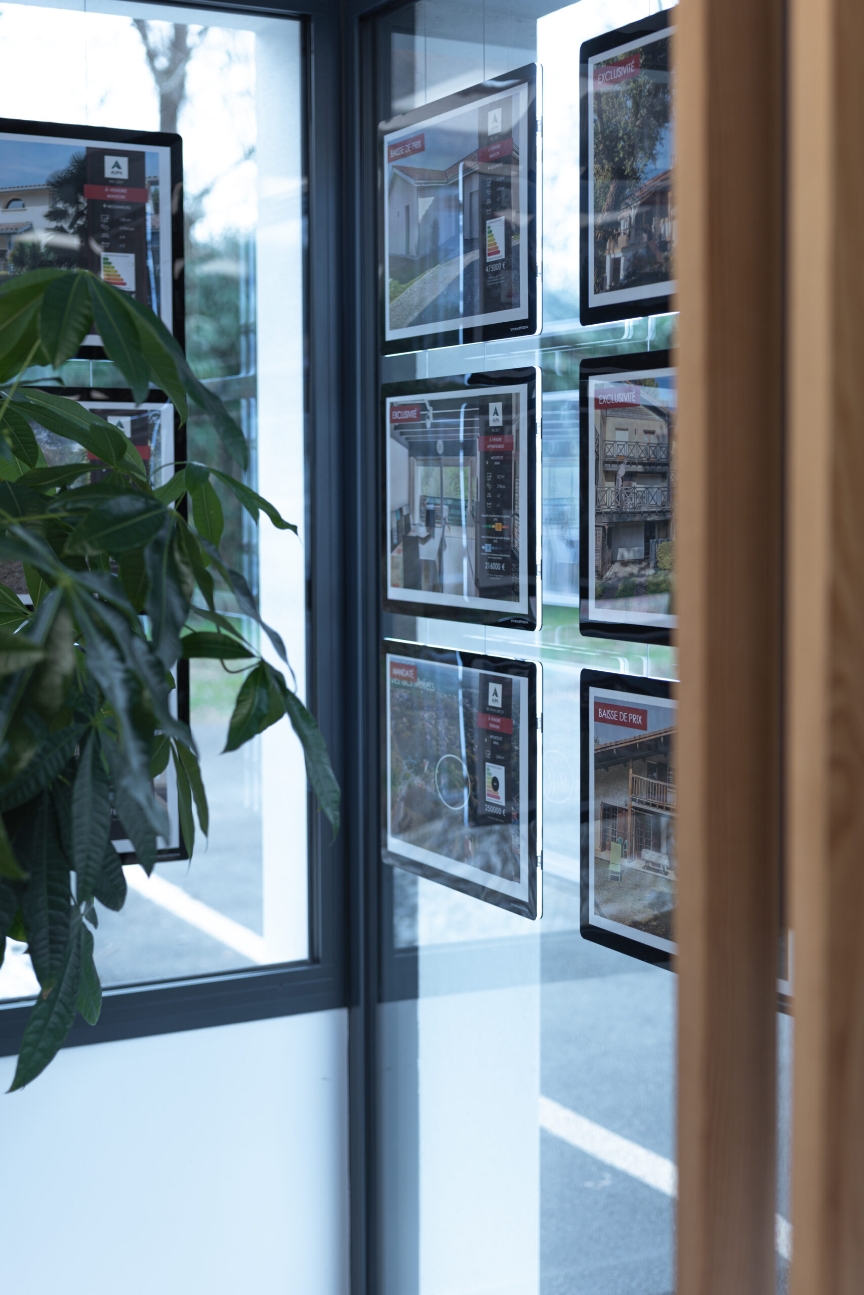 aupa immobilier photo bureaux equipe valeurs vieux boucau11