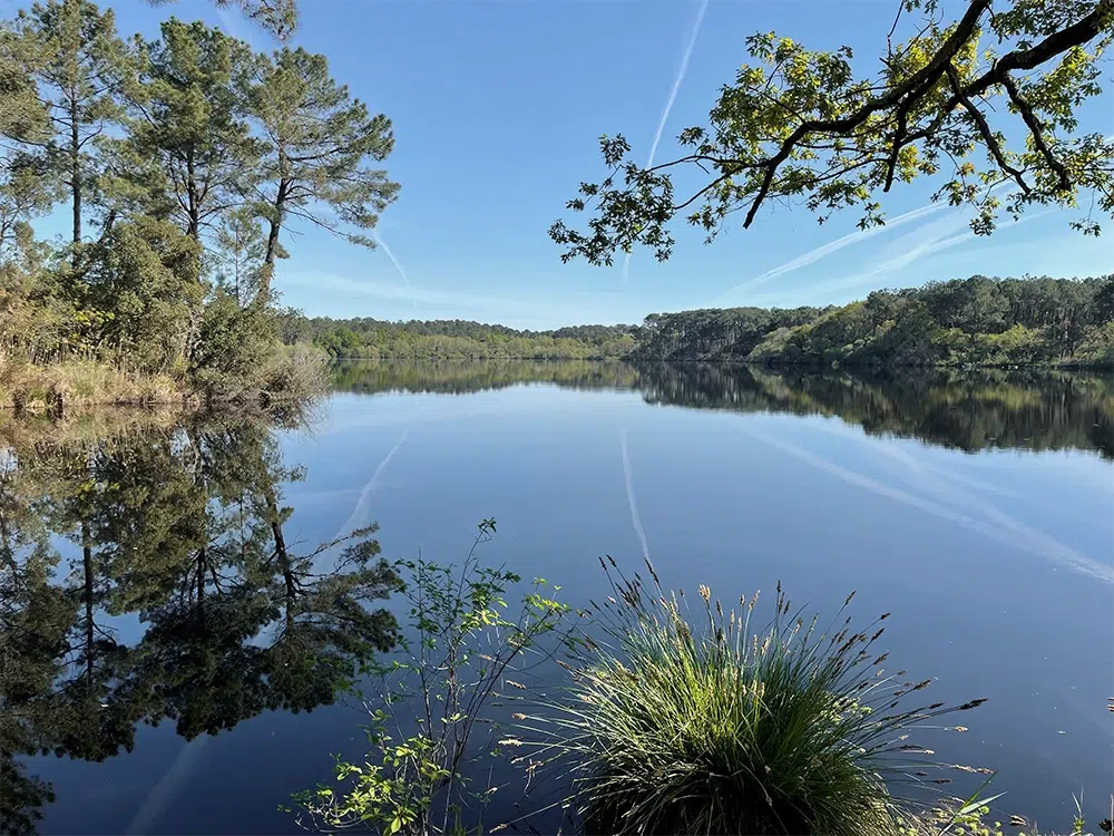 aupa immobilier photo bureaux equipe valeurs vieux boucau9 1000 750