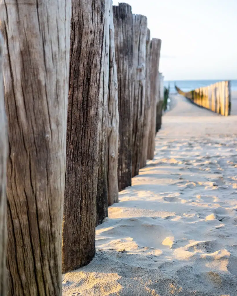 aupa immobilier photo pixabay 2 1000 1250