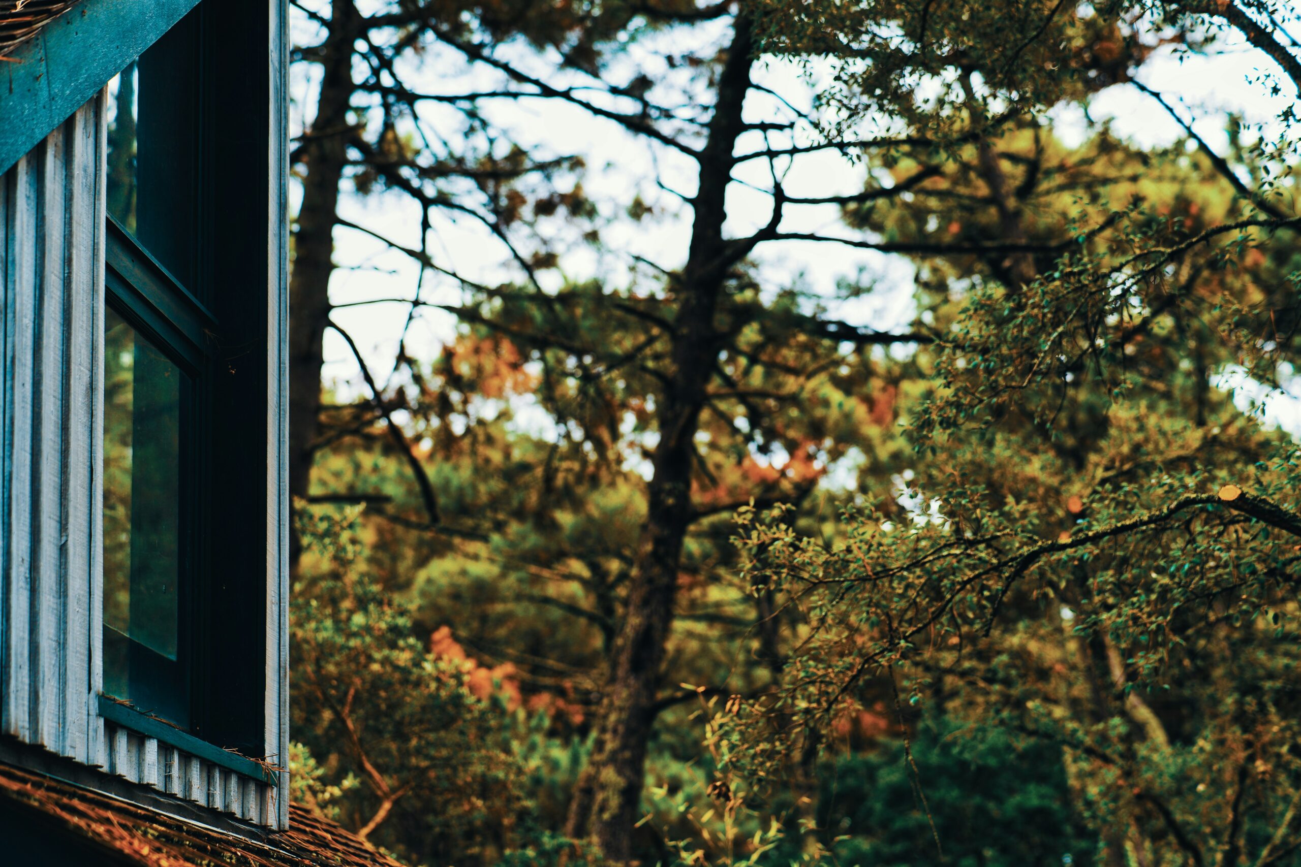 aupa immobilier photo unsplash 25