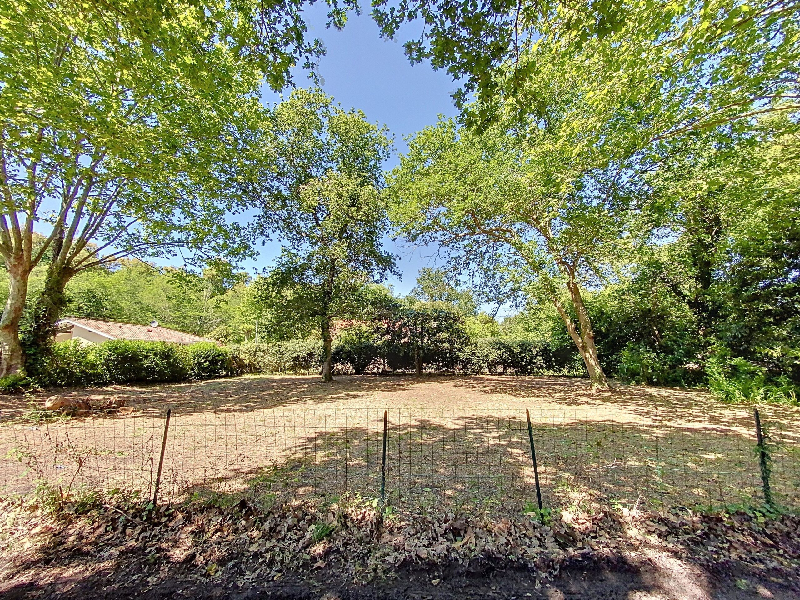 825437e3 e4e9 470f bc6f 96fd98de5809