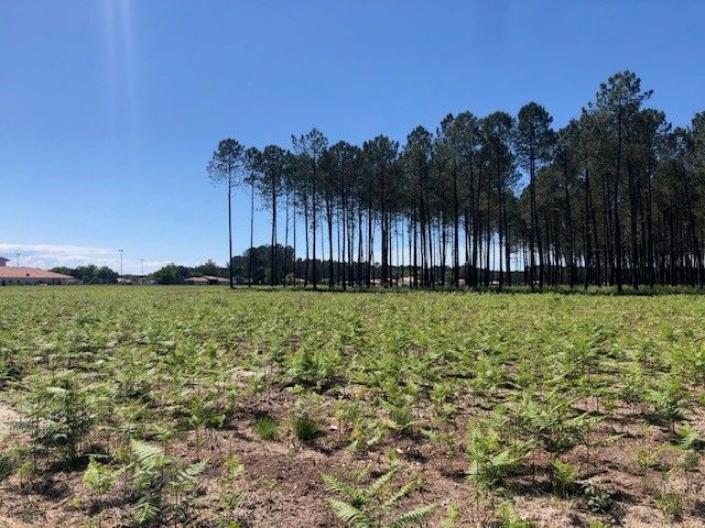 e0f65bd0 e017 4cc4 89e6 4963db2e476e