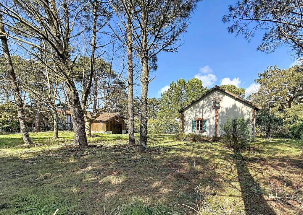 eacada59 04e6 41b1 9631 ca9e1ff07b98