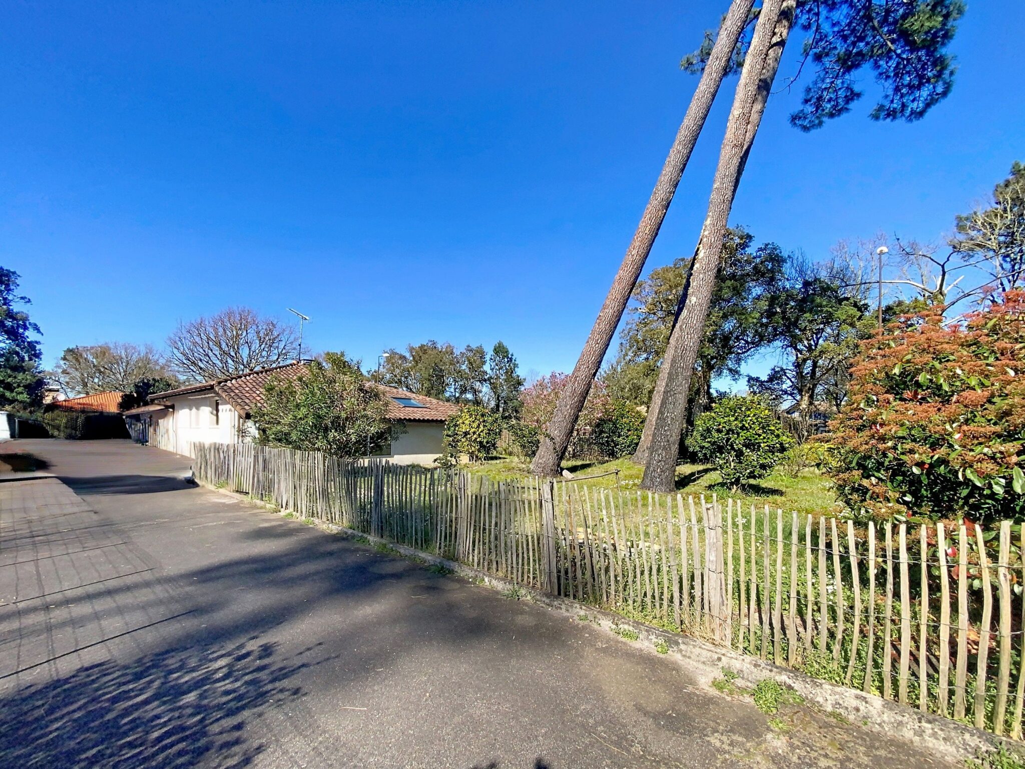 4120ff4e 5d37 4613 889d c72bf8e98985