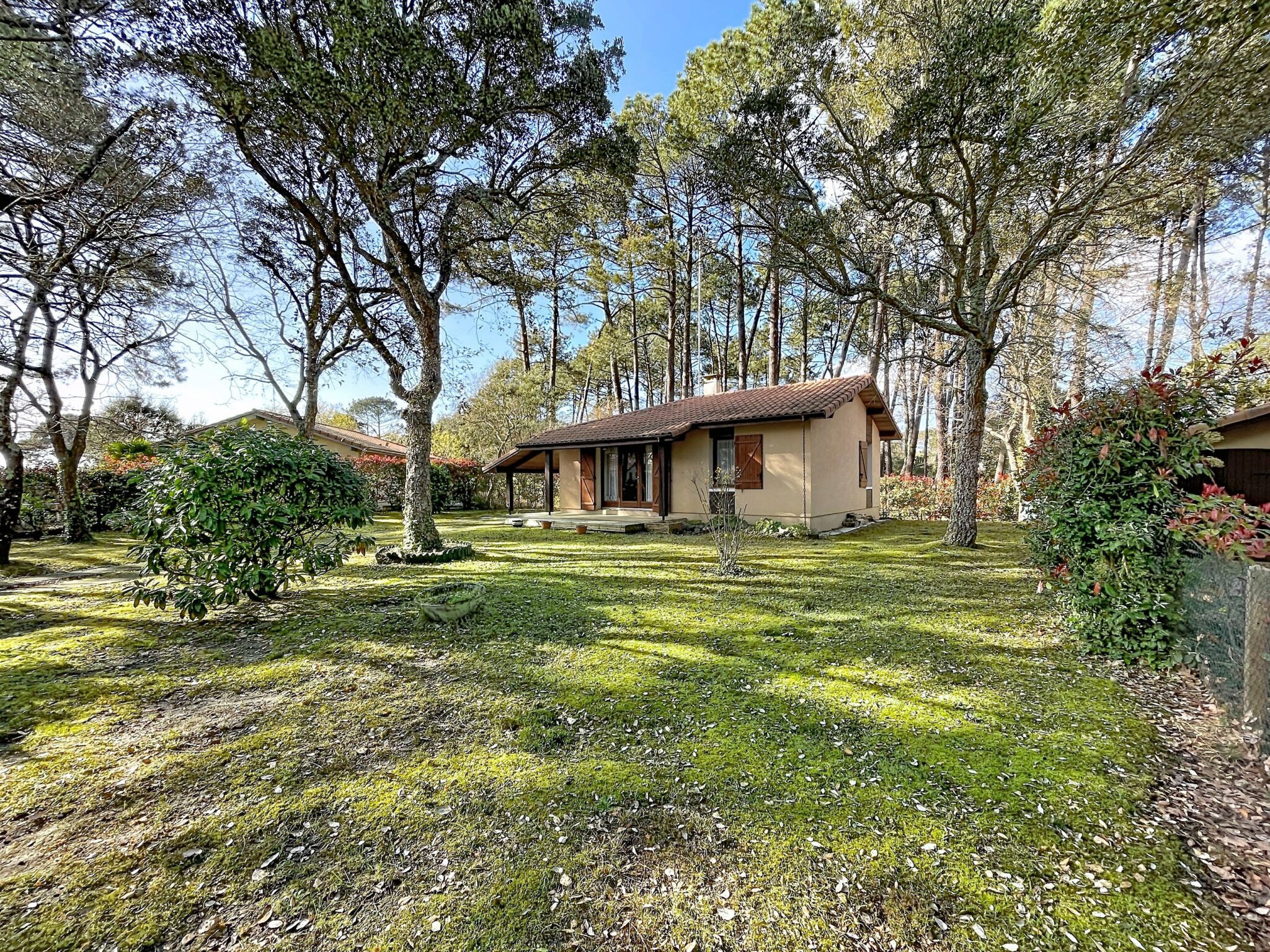 568de06c 1e8c 4baf b709 6067493e8c3f