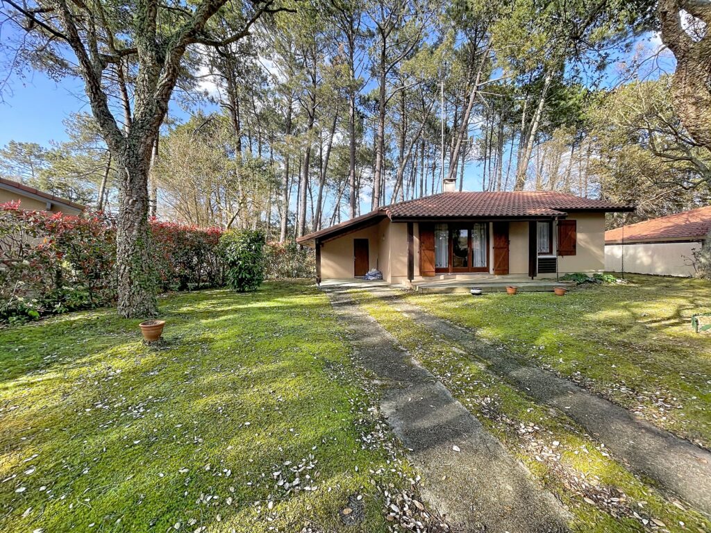 ddda9b7c f1d6 4769 9e59 43a64cce0385